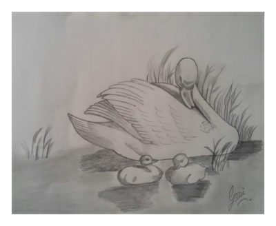 Sketch Art by Dr. Gopi Tatamiya