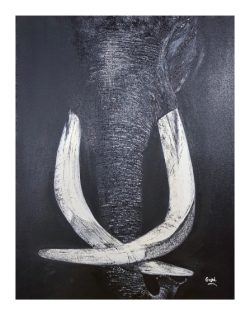 PIBA-44 Oil Paintings - Timeless Elegance on Canvas