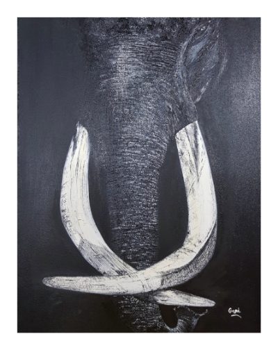 Oil Paintings - Timeless Elegance on Canvas